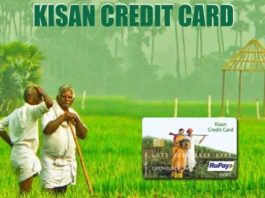 How to apply for Kisan Credit Card: Know the documents and method of application